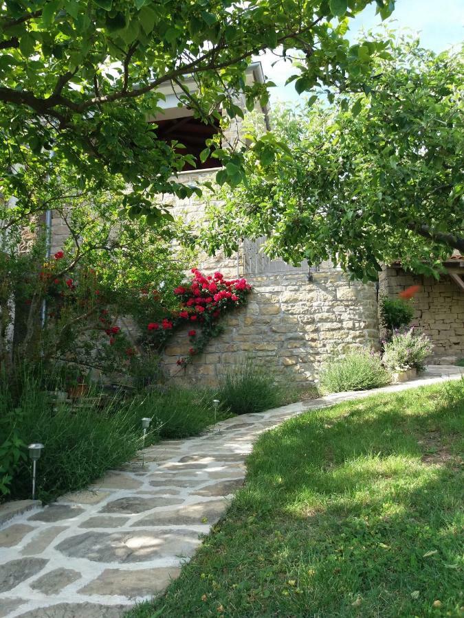 Apartment Damiani Grožnjan